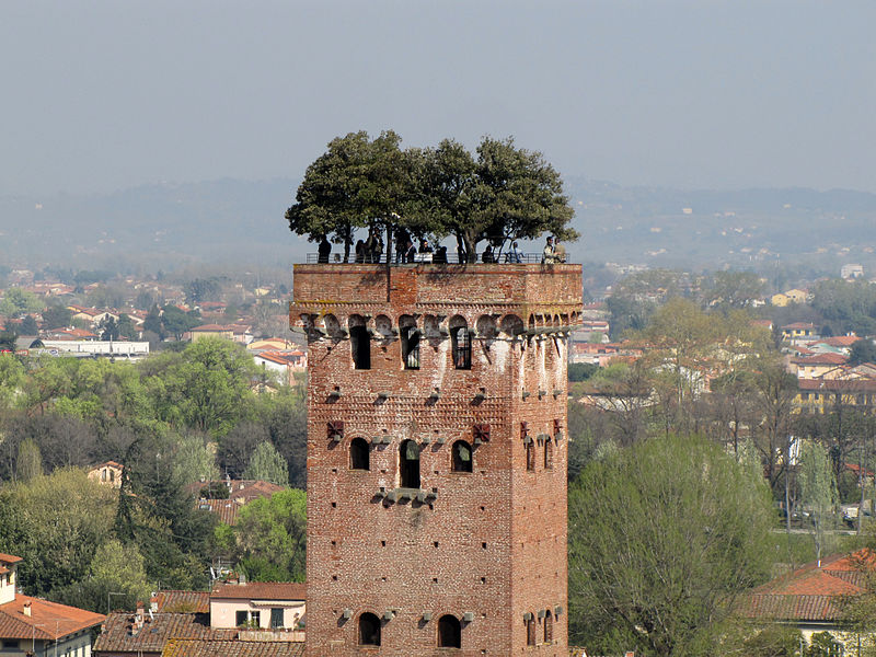 Photo:  Torre Guinigi